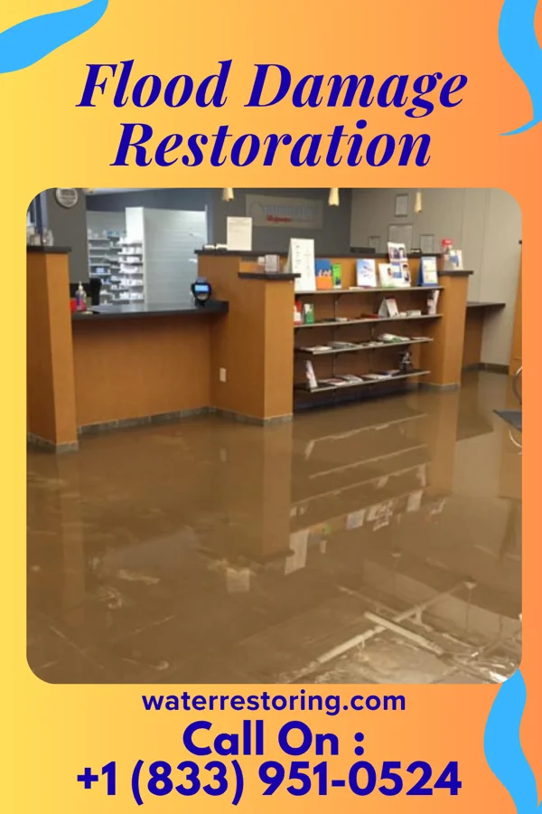 Flood Damage Restoration in East Ellijay, GA