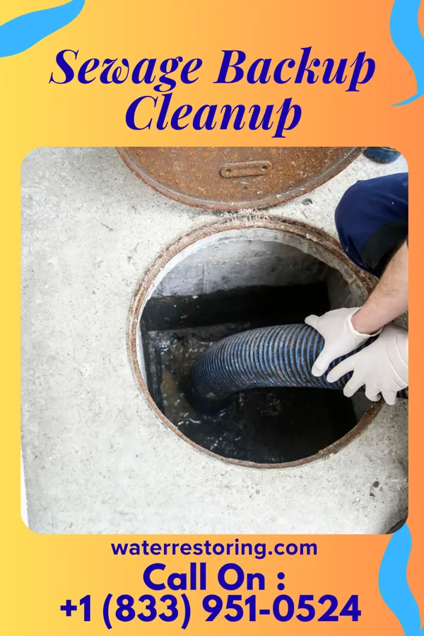 Sewage Backup Cleanup in East Ellijay, GA