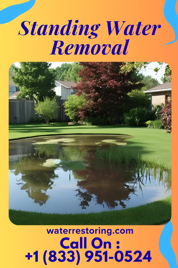 Standing Water Removal in East Ellijay, GA